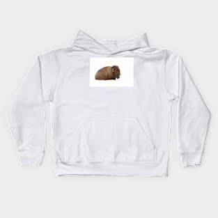 Bison in snow Kids Hoodie